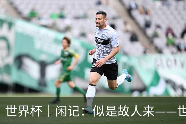 世界杯｜闲记：似是故人来——世界杯上的中超“老熟人”